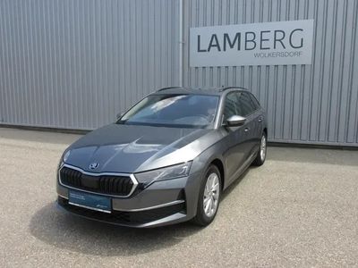 Mittelgrau metallic Gebraucht 2024 Skoda Octavia Selection Kombi | € 36.500 (Teuer)