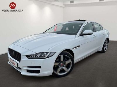 gebraucht Jaguar XE XE20d Portfolio Aut. | Panorama | Leder |