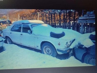 Gebraucht Jaguar XJ12 264 PS (194 kW) 1993 Beige Limousine