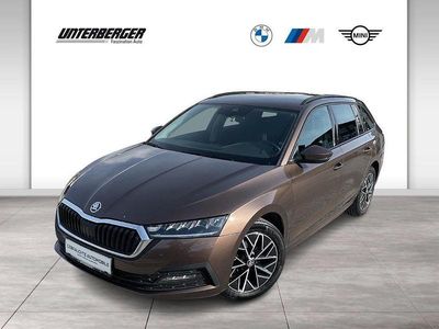 Braun Gebraucht 2021 Skoda Octavia Ambition Kombi | € 17.790 (Fairer Preis)