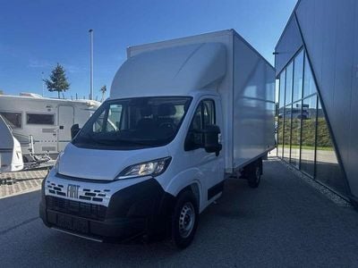 Neu Fiat Ducato S 177 PS (130 kW) 2025 Weiß Van