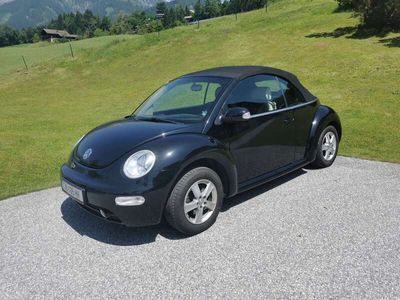 VW Beetle