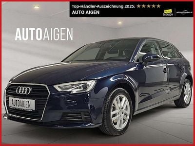Gebraucht Audi A3 Basis 116 PS (85 kW) 2017 Blau Kleinwagen