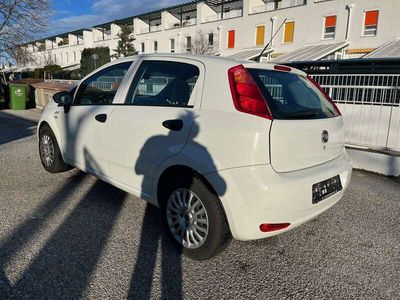 gebraucht Fiat Punto Punto12 69 Nuova Collezione Nuova Collezione