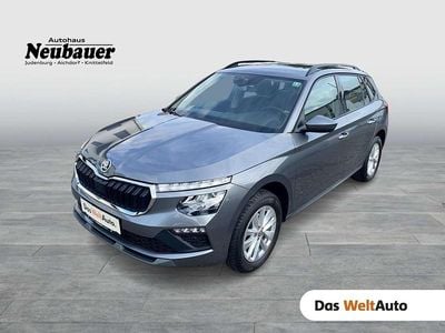 Mittelgrau metallic Gebraucht 2024 Skoda Kamiq Selection SUV | € 24.900 (Fairer Preis)