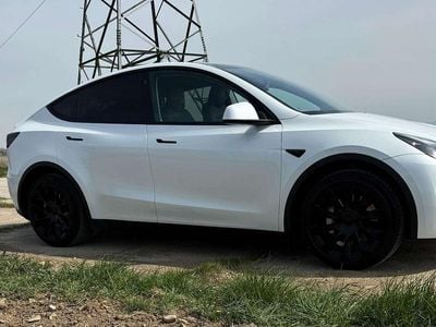 Weiß Gebraucht 2024 Tesla Model Y Long Range AWD SUV | € 40.700 (Fairer Preis)