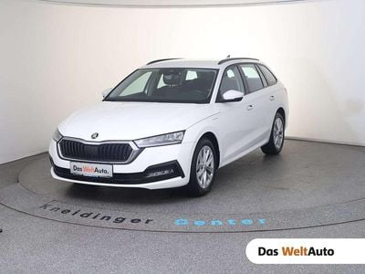 Weiß Gebraucht 2022 Skoda Octavia Style Kombi | € 23.900 (Superpreis)