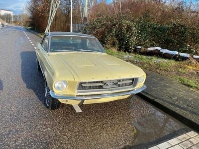 Gelb Gebraucht 1967 Ford V8 Coupé | € 33.900