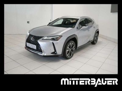 gebraucht Lexus UX 250h Style Edition 1.4kWh Aut. FLA KAM