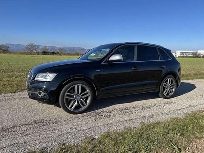 Gebraucht Audi SQ5 Competition 313 PS (230 kW) 2014 SUV
