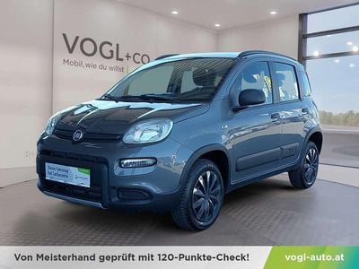 Grau Gebraucht 2020 Fiat Panda 4x4 Wild Kleinwagen | € 13.990 (Etwas zu teuer)