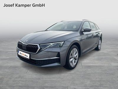 Grau Gebraucht 2025 Skoda Octavia Selection Kombi | € 36.990 (Etwas zu teuer)