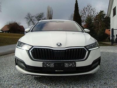 Weiß Gebraucht 2020 Skoda Octavia Business Line Kombi | € 13.850 (Fairer Preis)