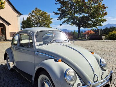 gebraucht VW Käfer 1300 Typ 11 Luxus guter Zustand mit gültigem Pickerl