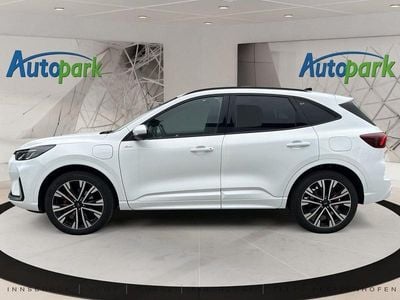 Weiß Neu 2025 Ford Kuga ST-Line SUV | € 42.590 (Fairer Preis)