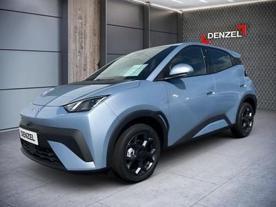 Neu BYD Dolphin Surf Boost 64 kW (88 PS) 2025 Ice blue Kleinwagen