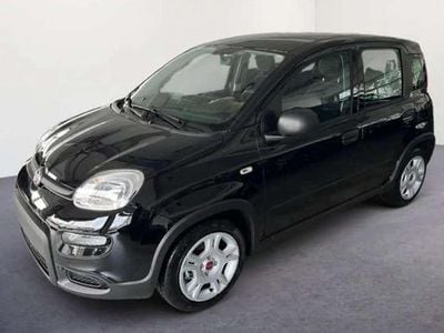 Schwarz Neu 2025 Fiat Panda Pop Limousine | € 13.990 (Guter Preis)