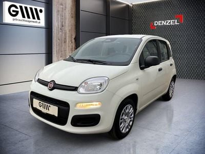 Neu Fiat Panda 70 PS (51 kW) 2025 Weiß Kleinwagen