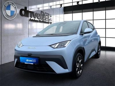 Neu BYD Dolphin Surf Boost 35 kW (48 PS) 2026 Kleinwagen