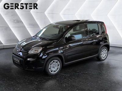 Gebraucht Fiat Panda 69 PS (50 kW) 2025 Schwarz