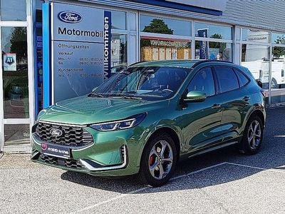 Grün Gebraucht 2024 Ford Kuga ST-Line X SUV | € 34.490 (Teuer)