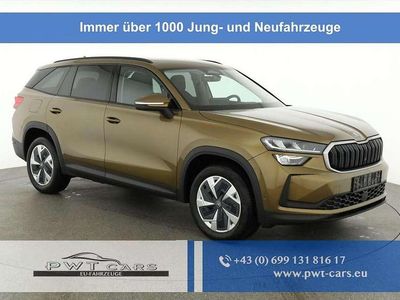 Neu Skoda Kodiaq Selection 193 PS (141 kW) 2025 Gold SUV