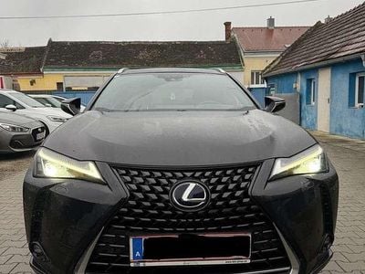 Gebraucht Lexus UX Business Edition 152 PS (111 kW) 2020 Schwarz SUV