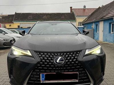 Gebraucht Lexus UX Business Edition 152 PS (111 kW) 2020 Schwarz SUV
