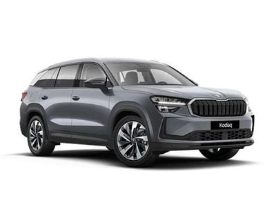 Grau Gebraucht 2025 Skoda Kodiaq Selection SUV | € 56.103 (Etwas zu teuer)