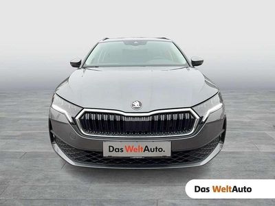 Mittelgrau metallic Gebraucht 2025 Skoda Octavia Essence Kombi | € 28.990 (Fairer Preis)