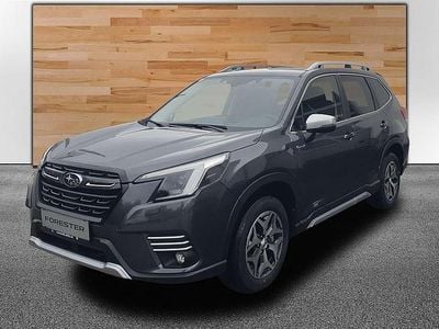 Grau Gebraucht 2024 Subaru Forester Style SUV | € 44.250 (Fairer Preis)