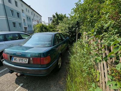 Grün Gebraucht 1994 Audi 80 Limousine | € 500