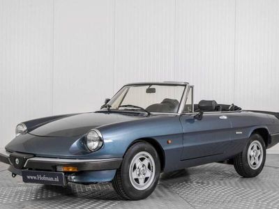 Blau Gebraucht 1989 Alfa Romeo Spider Cabrio | € 14.900