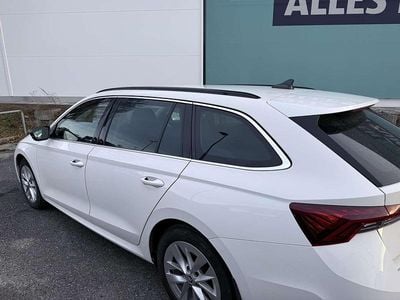 Gebraucht Skoda Octavia Style 150 PS (110 kW) 2021 Weiß Kombi