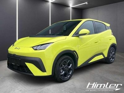 Grün Neu 2025 BYD Dolphin Surf Boost Kleinwagen | € 22.980 (Fairer Preis)