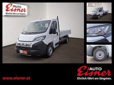 Neu Fiat Ducato 140 PS (102 kW) 2026 Van