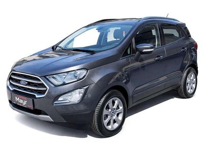 Gebraucht Ford Ecosport Titanium 101 PS (74 kW) 2018 Grau SUV