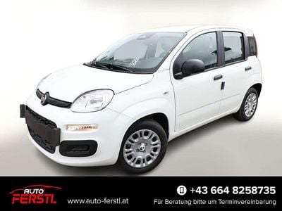 Weiß Neu 2025 Fiat Panda Kleinwagen | € 15.429 (Guter Preis)