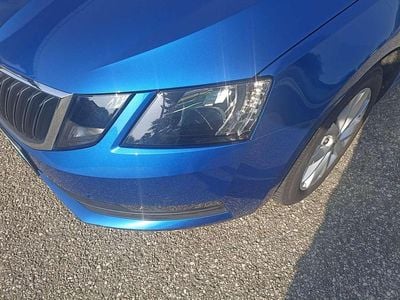 Gebraucht Skoda Octavia 116 PS (85 kW) 2019 Blau Kombi