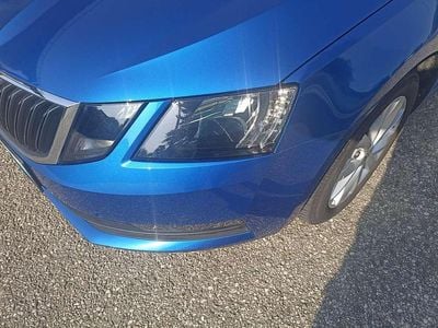 Blau Gebraucht 2019 Skoda Octavia Kombi | € 15.490 (Fairer Preis)