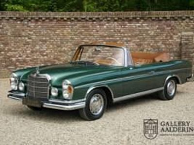 Grün Gebraucht 1964 Mercedes 220 SE Cabrio | € 149.500