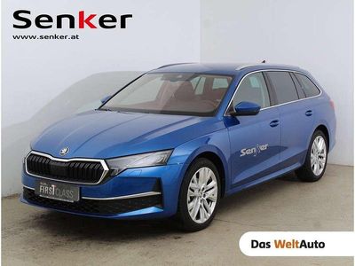 Mittelblau metallic Gebraucht 2024 Skoda Octavia Selection Kombi | € 33.990 (Teuer)