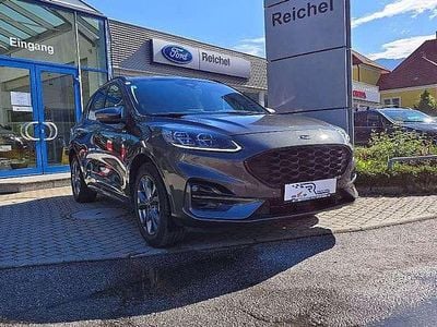 Gebraucht Ford Kuga ST-Line X 152 PS (111 kW) 2020 Grau SUV