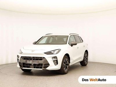 Weiss metallic Gebraucht 2025 Cupra Terramar SUV | € 36.990 (Guter Preis)