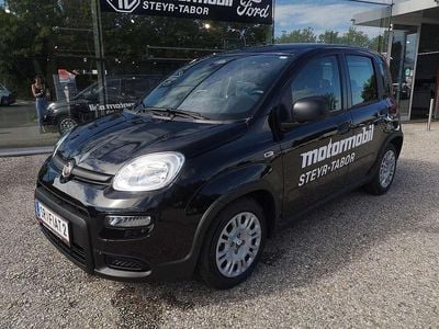 Schwarz Neu 2025 Fiat Panda Kleinwagen | € 14.990 (Fairer Preis)
