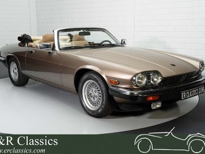 gebraucht Jaguar XJS Cabriolet | Top Zustand | Vollständige Optionen | V12| 1989