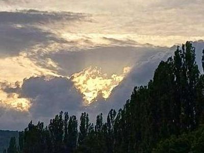 Gebraucht 1980 Mercedes 240 | € 8.000