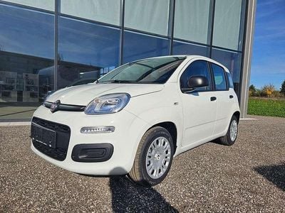 Weiß Neu 2025 Fiat Panda Limousine | € 14.890 (Fairer Preis)