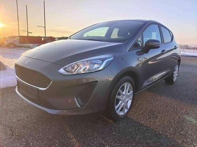 Gebraucht Ford Fiesta Trend 71 PS (52 kW) 2019 Grau Kleinwagen