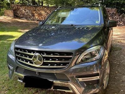 Gebraucht 2014 Mercedes ML350 Edition SUV | € 19.990 (Teuer)